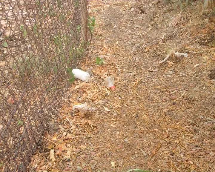 Buddurri Healing thumbnail image.