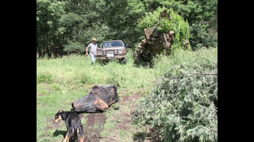 The Island thumbnail image.