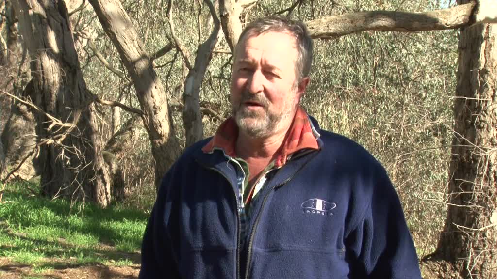 The Reserve thumbnail image.