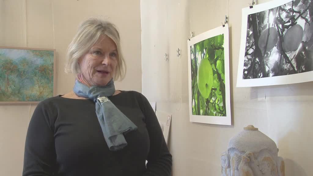 Deirdre Jack: Swifts Creek Artist thumbnail image.