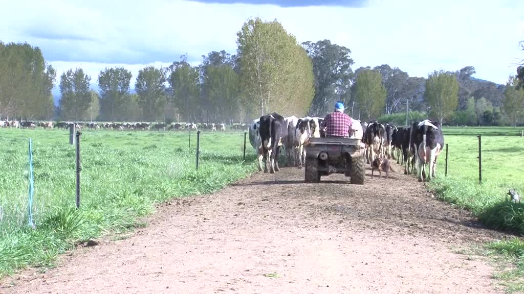Cook's Family Farm thumbnail image.