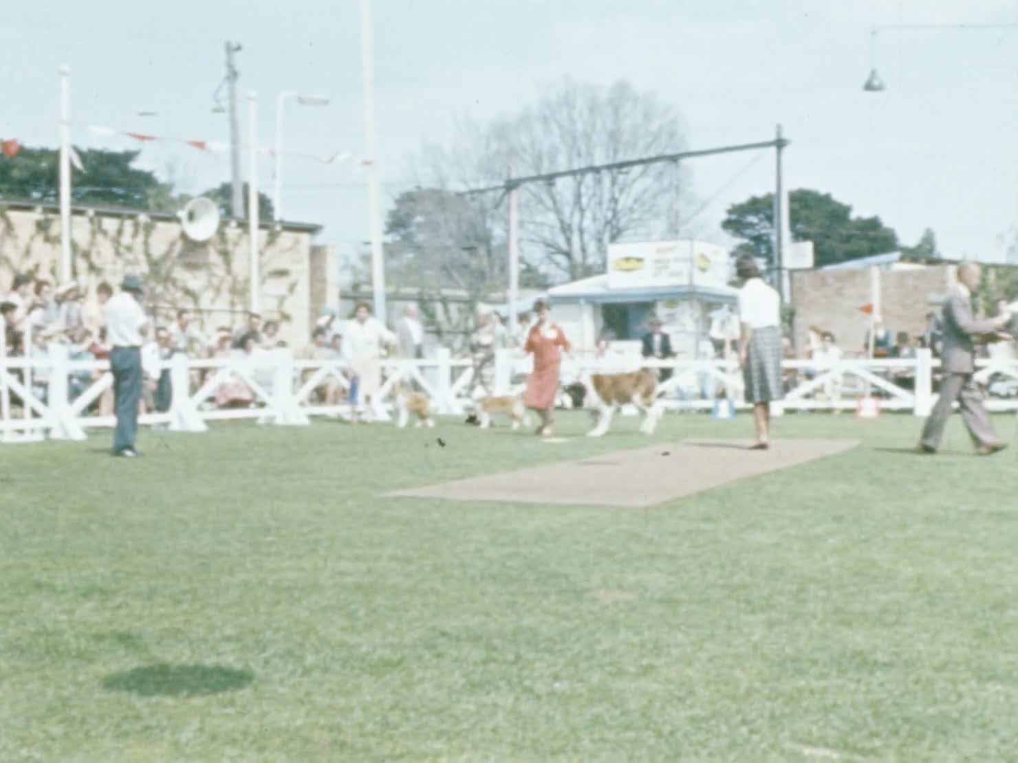 Hennessy's holiday thumbnail image.