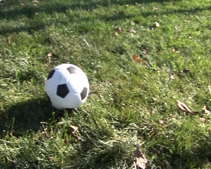 A still image from Discoveries