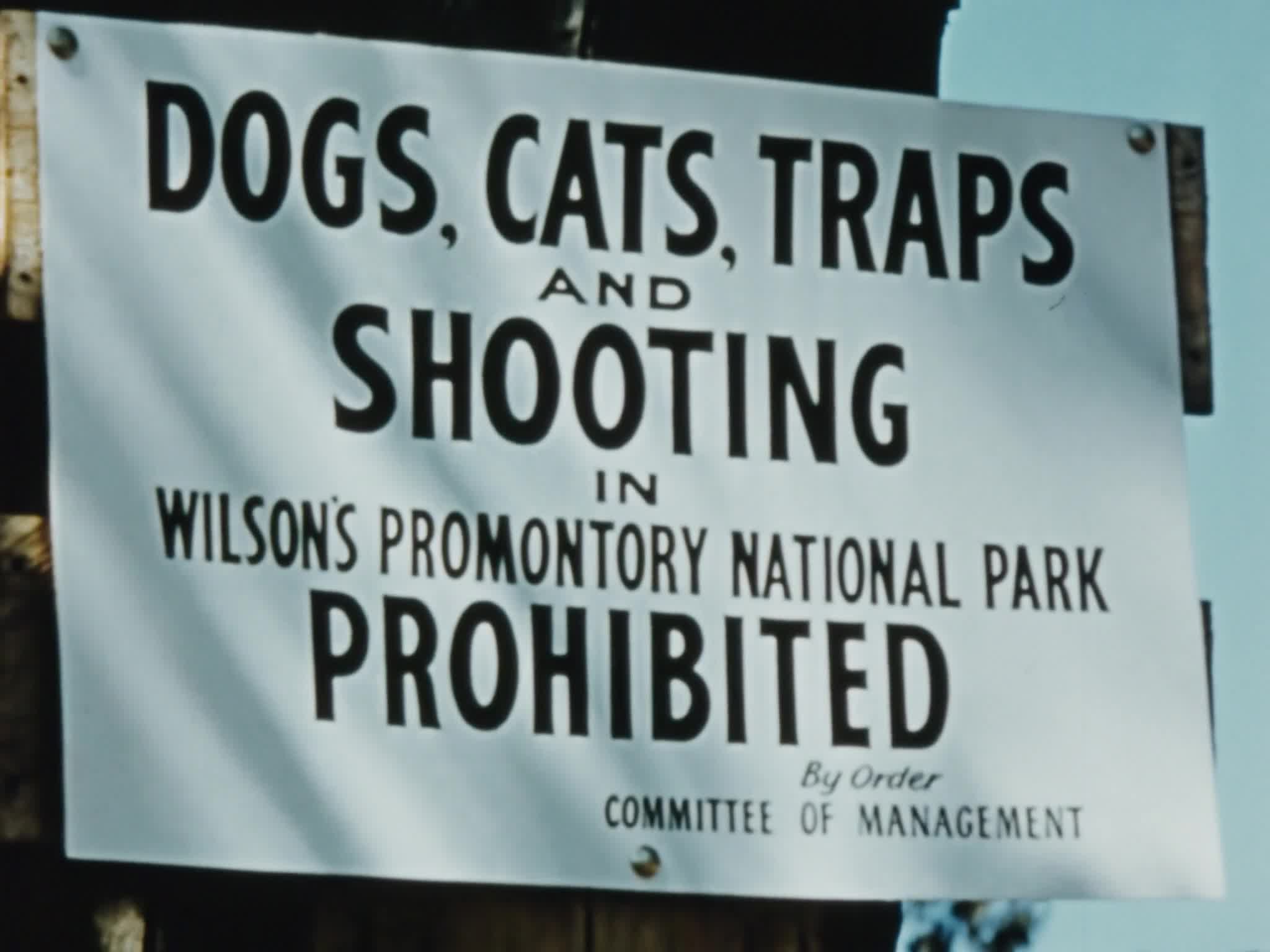 At the Land's End: the Wilson's Promontory National Park thumbnail image.