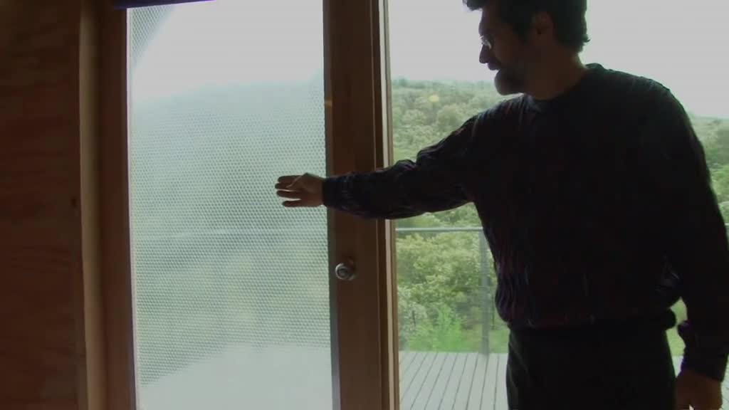 Alternative Lifestyles thumbnail image.