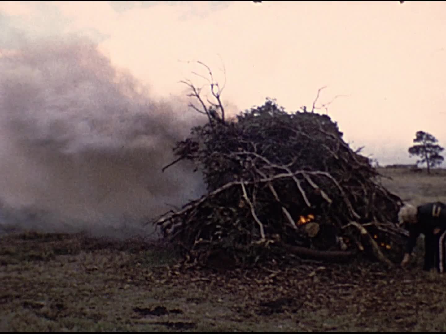 [Gadsden Family Home Movie Collection: Reel 29] thumbnail image.