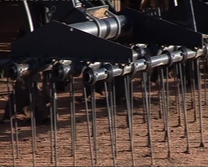 The Mallaganee boy thumbnail image.