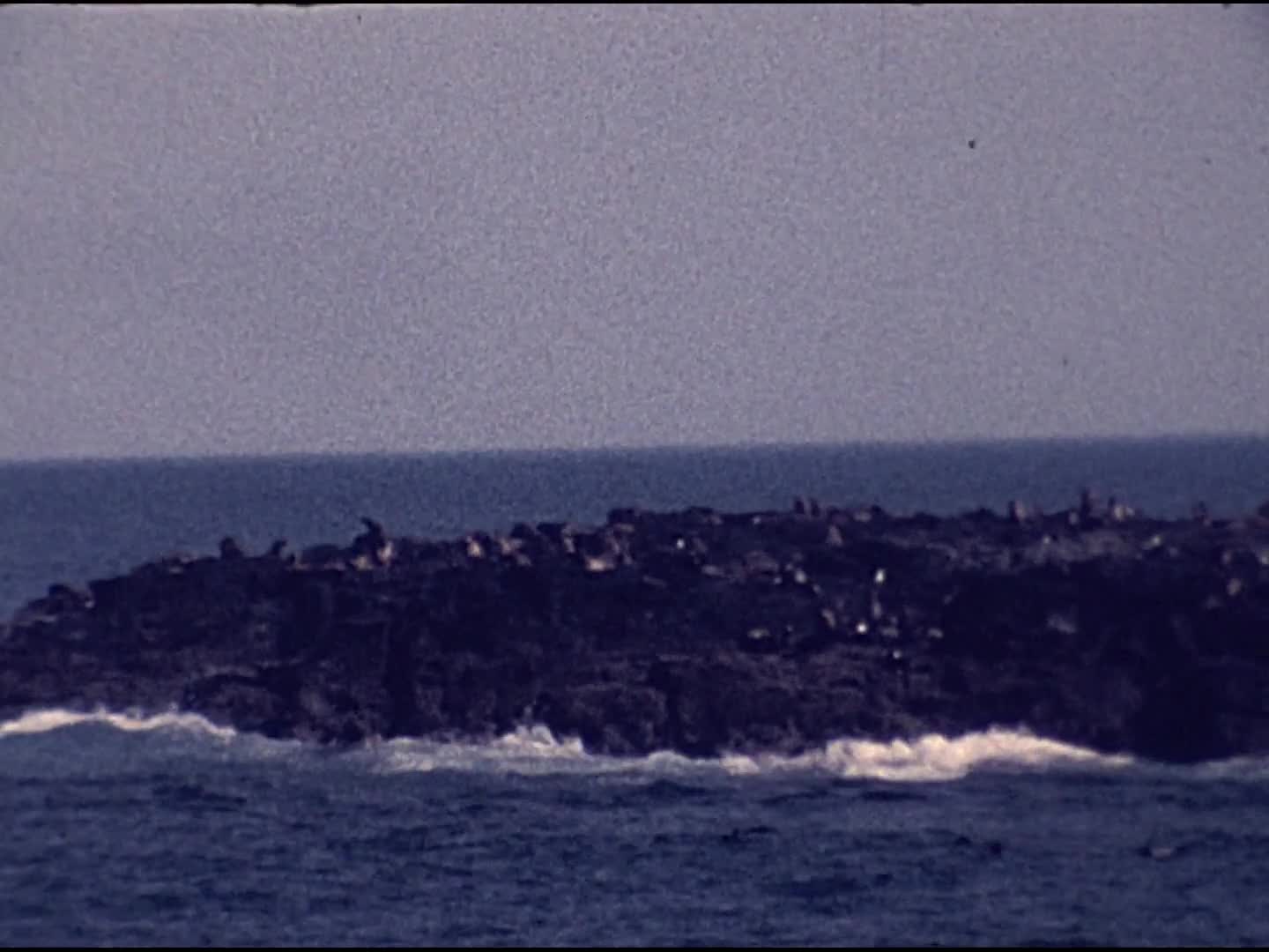 [Tibor Zoltan Koller Home Movies: Reel 5] thumbnail image.