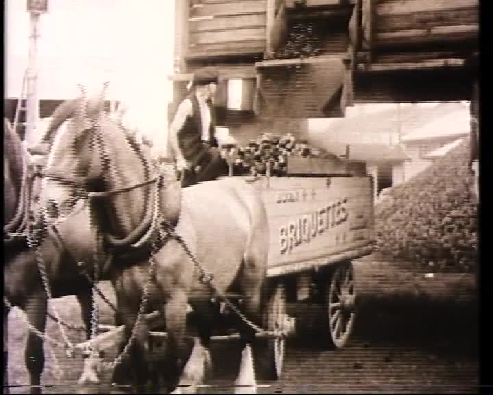 The Timeless force thumbnail image.