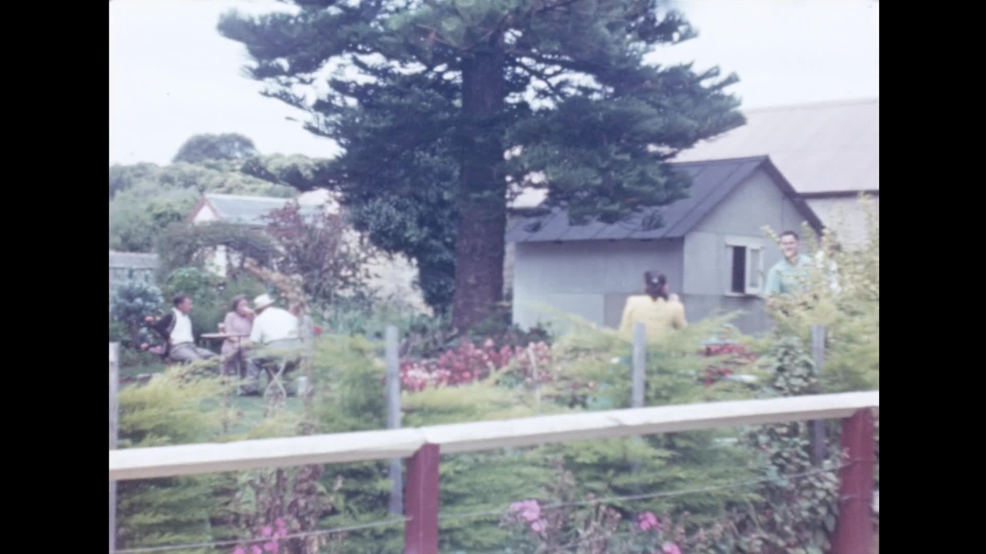 [Gadsden Family Home Movie Collection: Reel 171] thumbnail image.