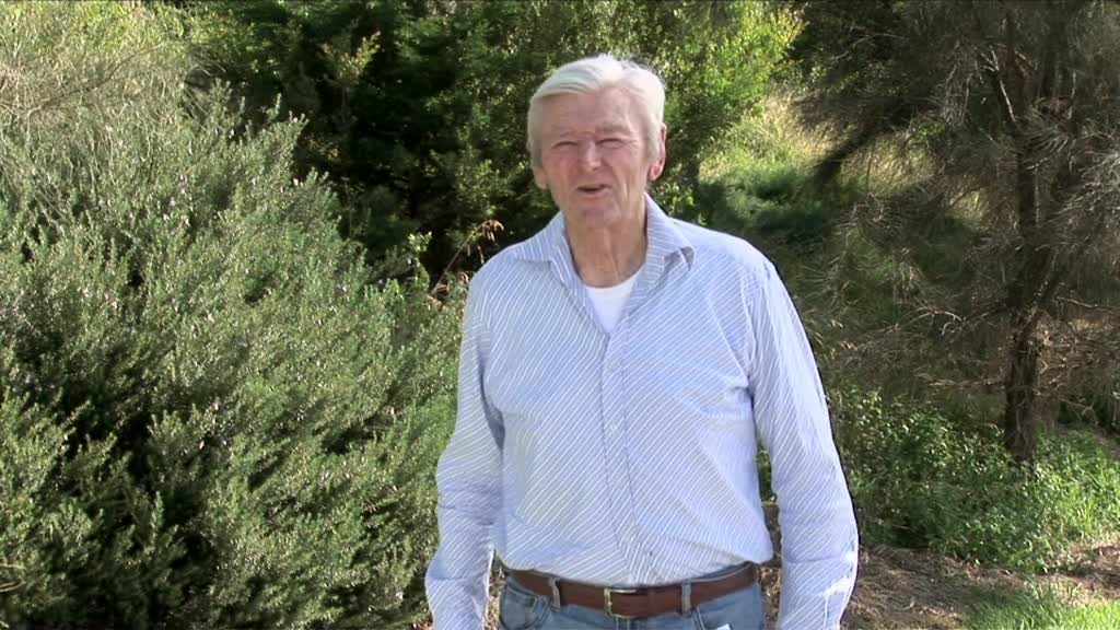 The Corinella Jetty thumbnail image.