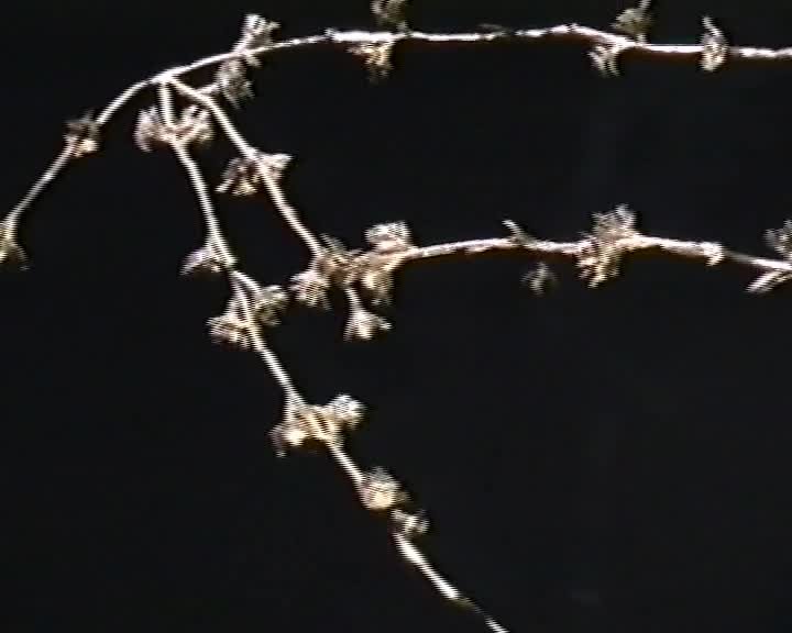 A still image from Public hangings. Series 1. Ep. 07