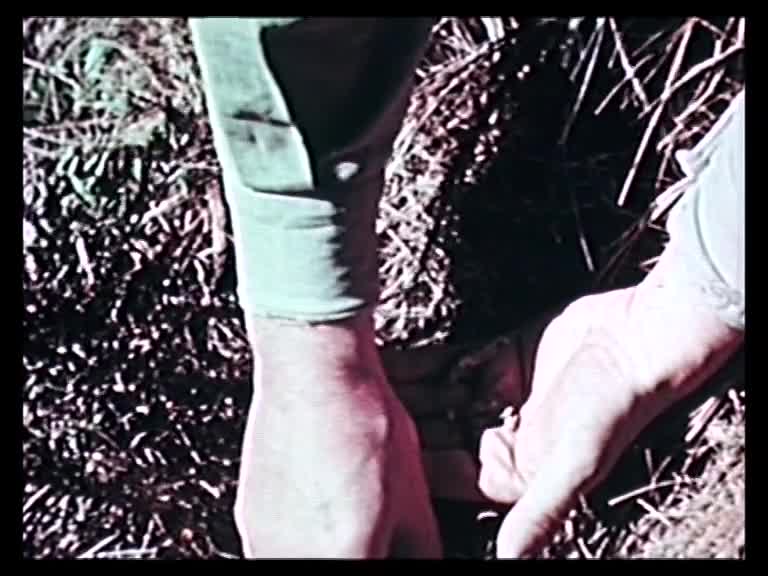 The High plains thumbnail image.