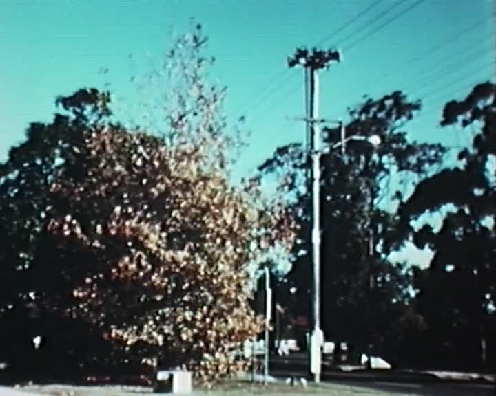 Autumn: a concept film thumbnail image.