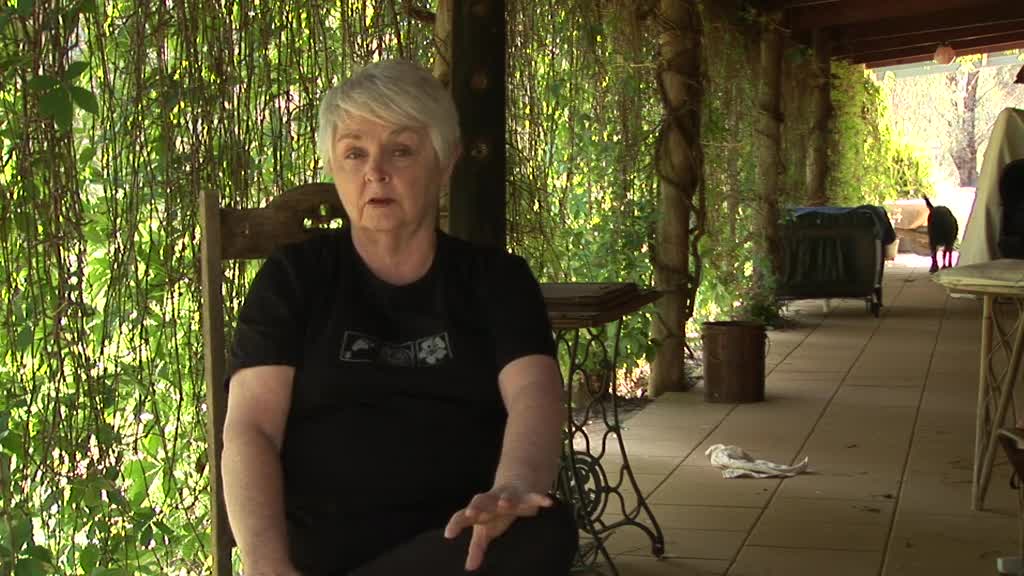 Folk, Rhythm and Life thumbnail image.