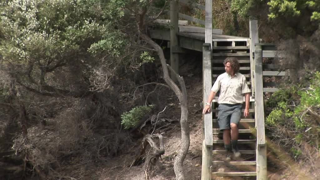 Welcome to Cape Conran thumbnail image.