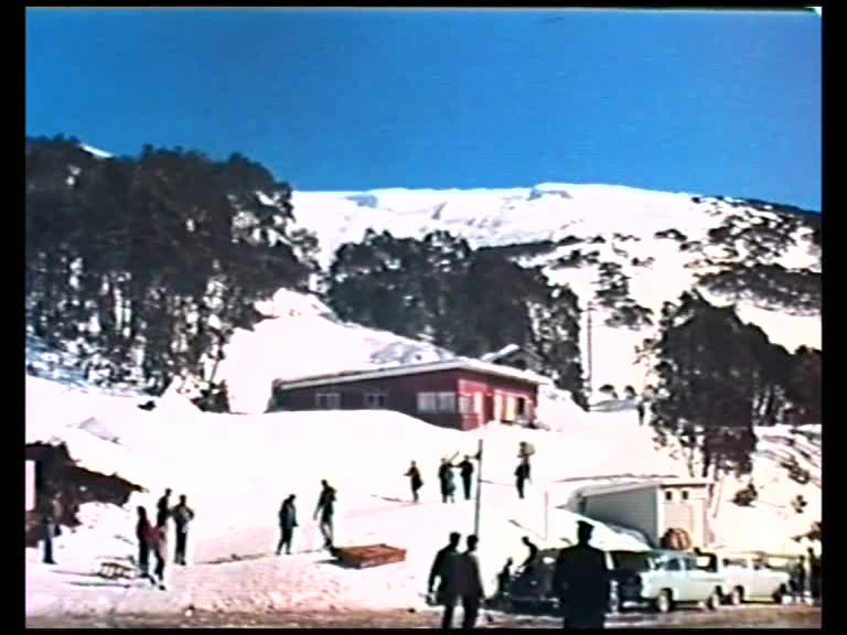 Alpine Playground thumbnail image.