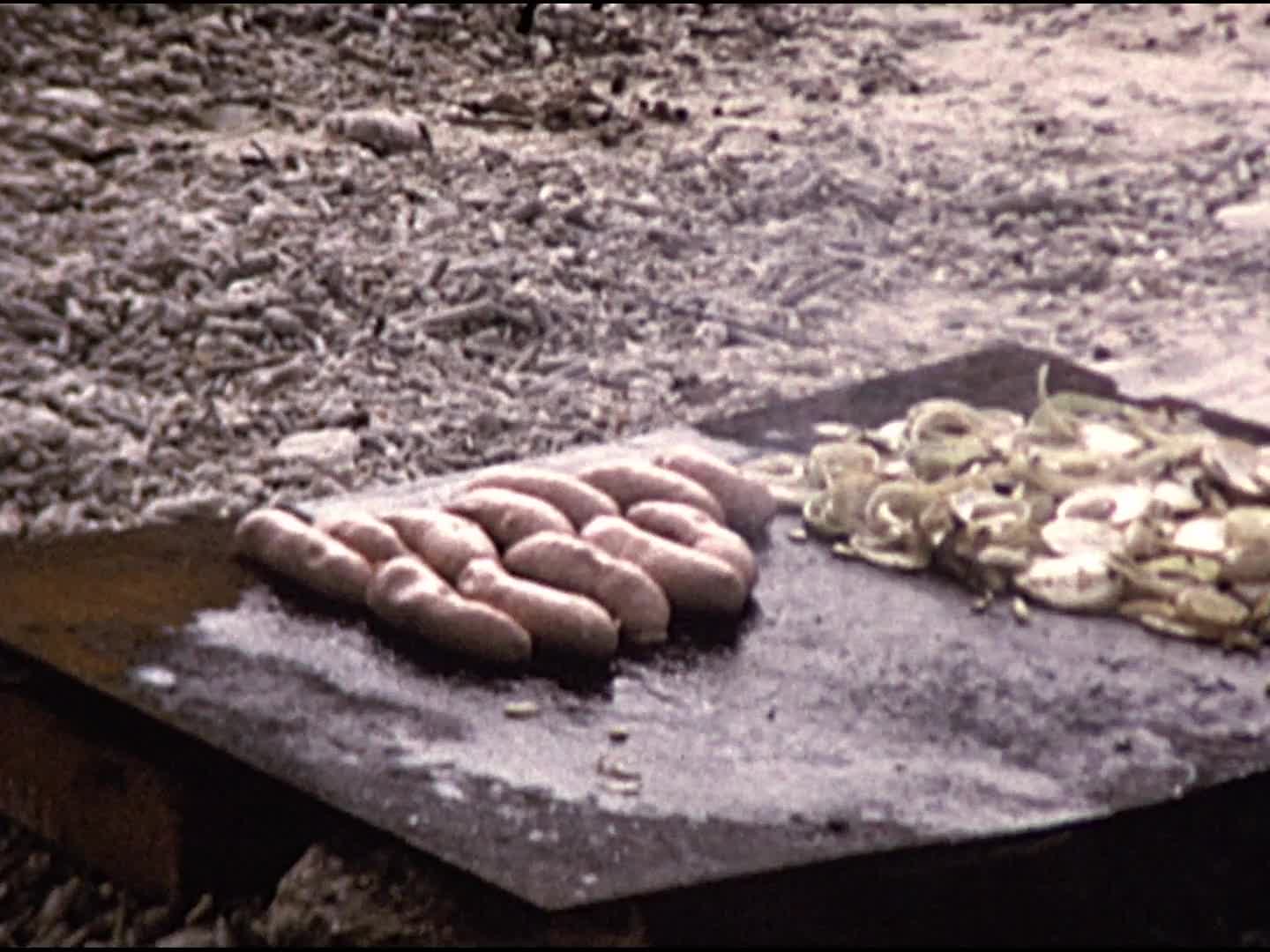 [Gadsden Family Home Movie Collection: Reel 27] thumbnail image.