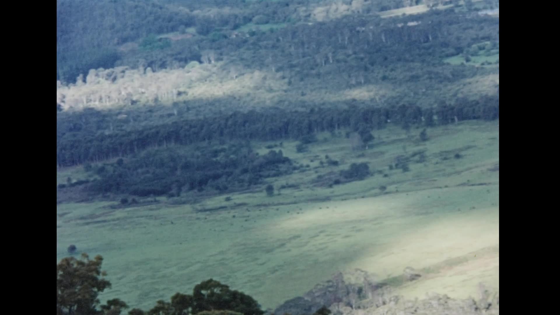 [Ted Parsons Home Movies: Reel 3] thumbnail image.