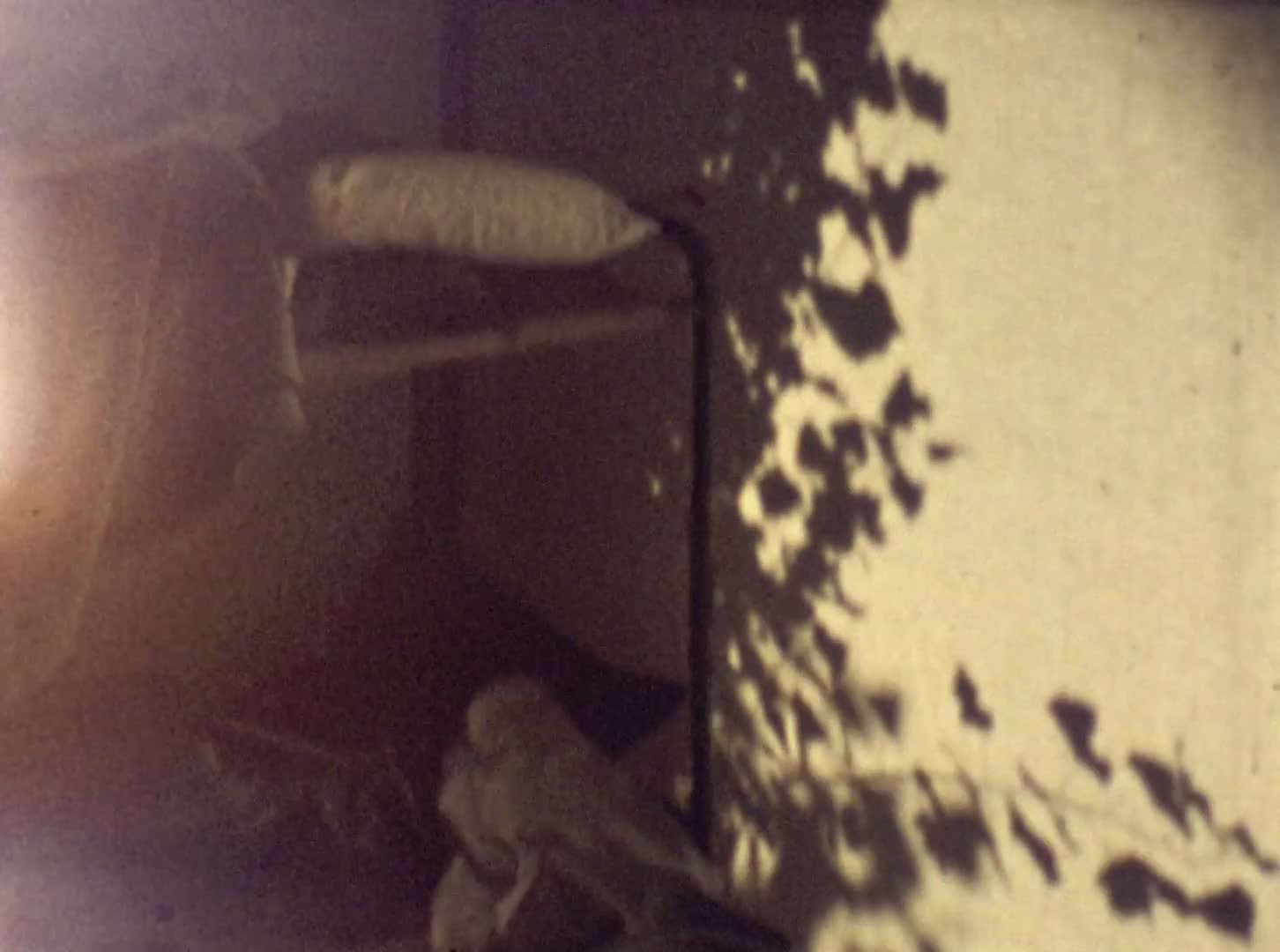 [Tibor Zoltan Koller Home Movies: Reel 9] thumbnail image.