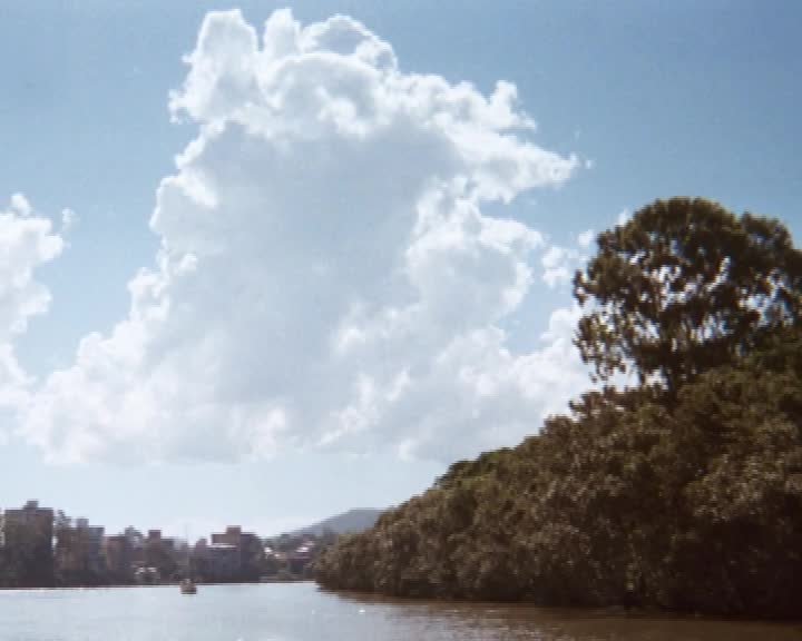 A still image from Flying foxes, scrub turkeys and lots of ticks