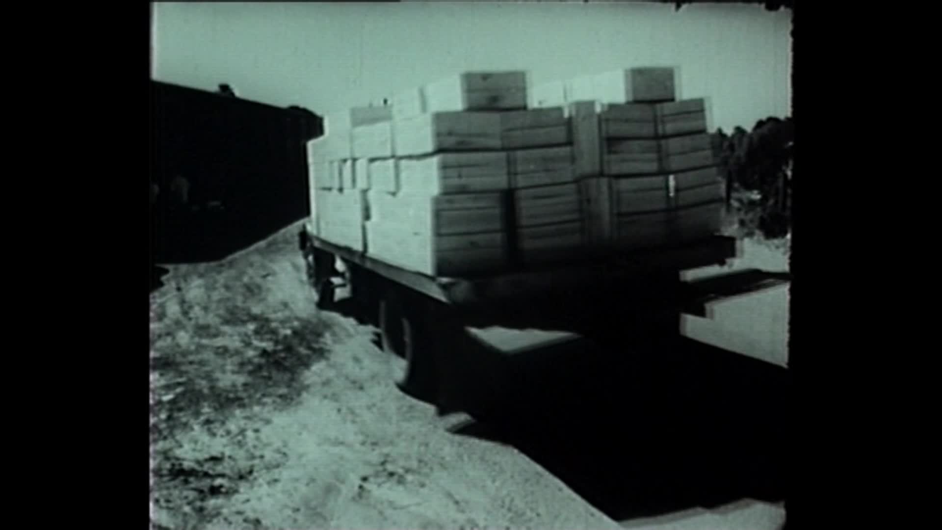 Peaches are a lustful fruit thumbnail image.