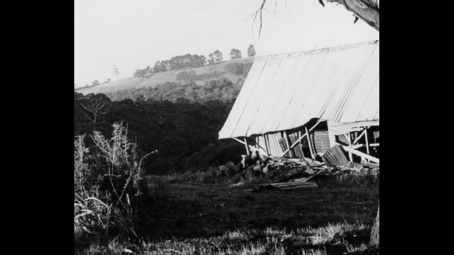 The Boy from Taurianova thumbnail image.