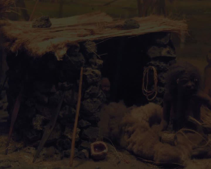 Me and my mob thumbnail image.