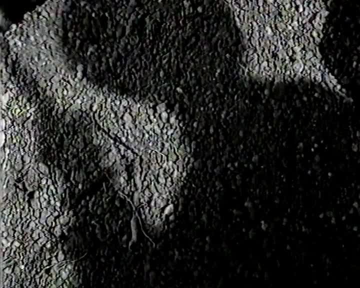 A still image from Three in one