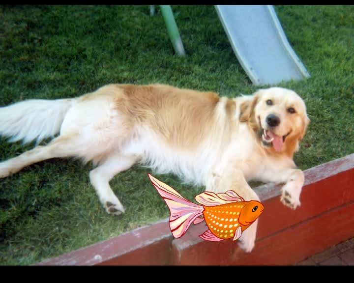 A still image from Hey look its me