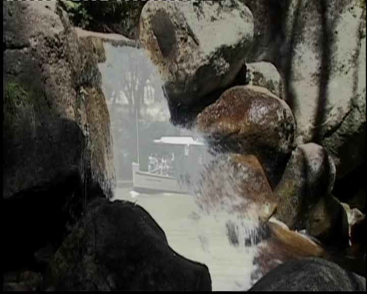 A still image from Murray muse