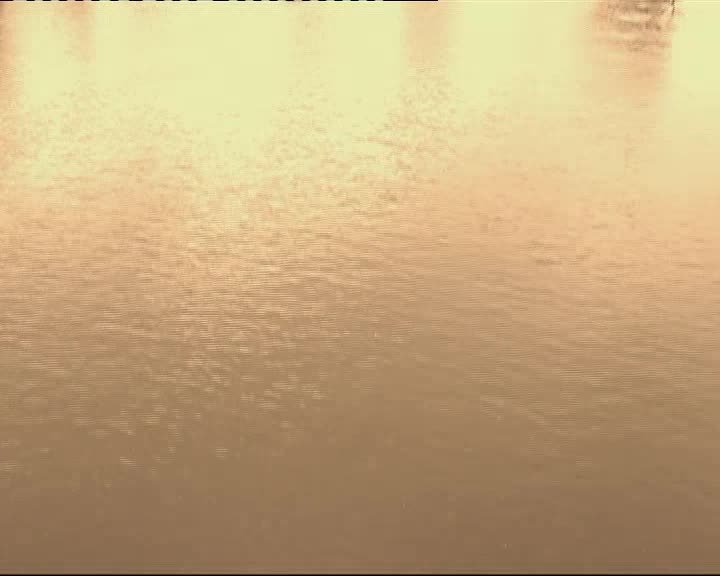 A still image from Rowing on the Yarra