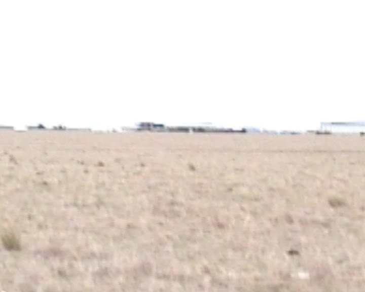 A still image from Doughnuts