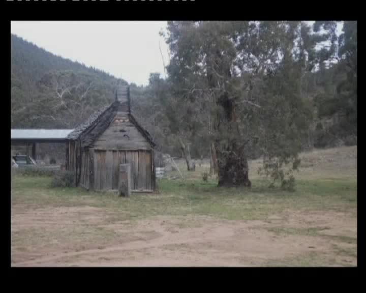A still image from Selected works from "Bute utes: the movie"