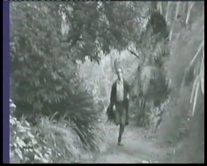 A still image from Diegesis Festival 2001