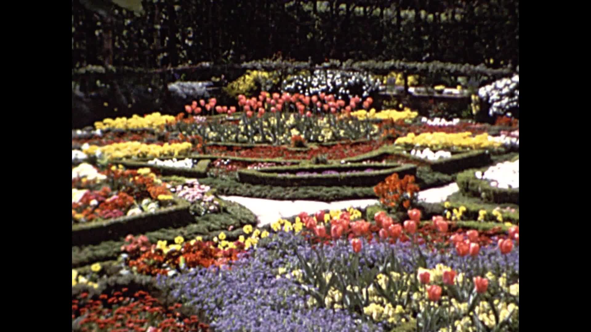 [Alexander Sinclair Home Movies: Reel 1] thumbnail image.