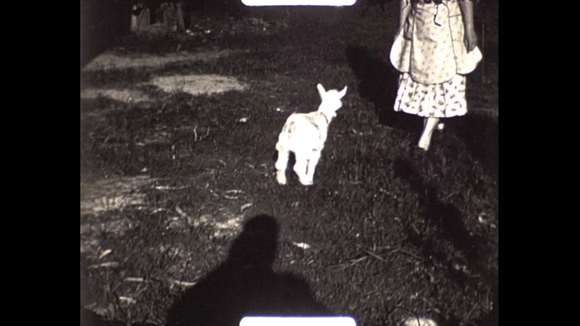 [Charles Hayes Home Movies: Reel 9] thumbnail image.