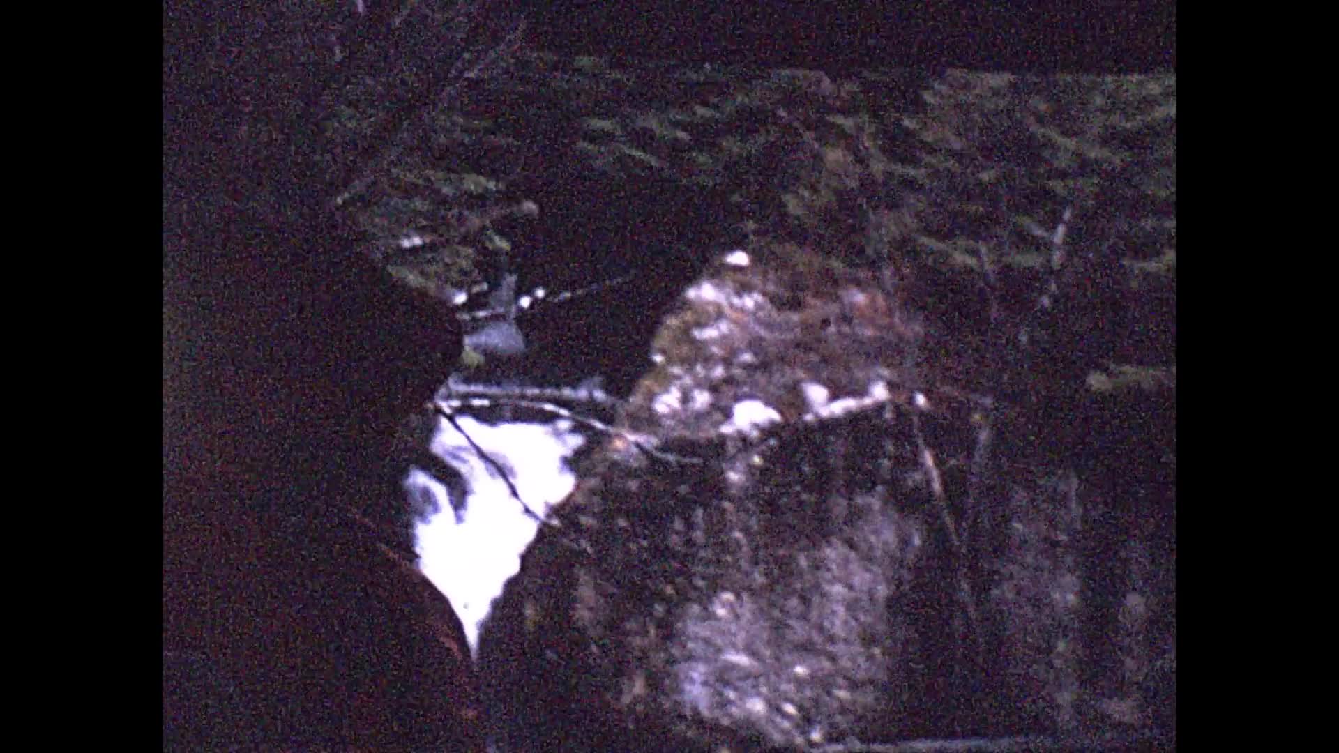 [Alexander Sinclair Home Movies: Reel 6] thumbnail image.