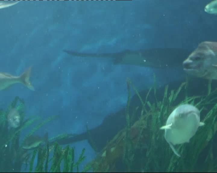 A still image from 3000