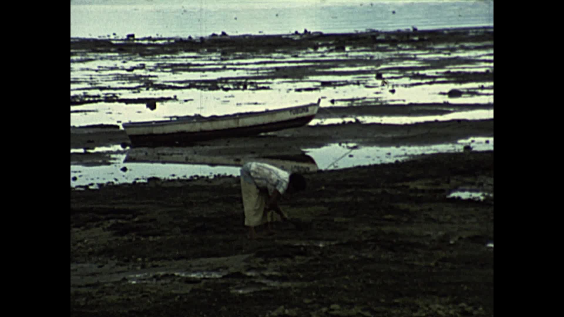 [Wallace Clarke Home Movies: Reel 4: Part 1] thumbnail image.