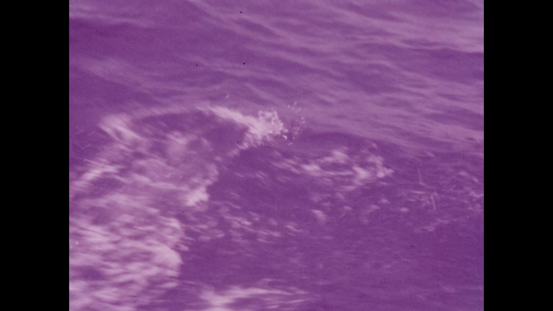 [Orwell Michaelis Home Movies: Reel 4] thumbnail image.