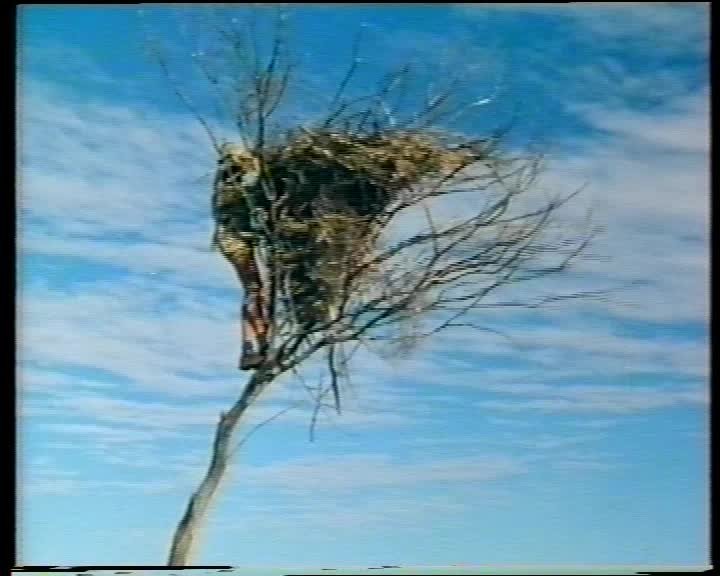 A still image from The Madigan Line