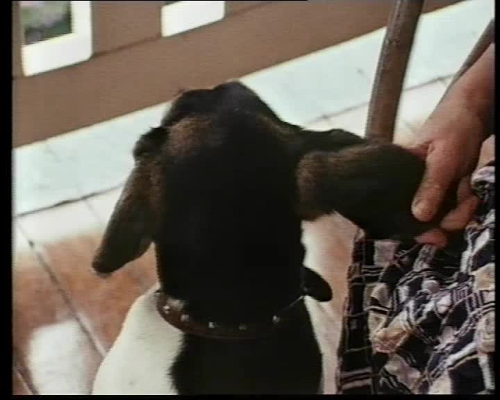 A still image from Marjorie Barnard