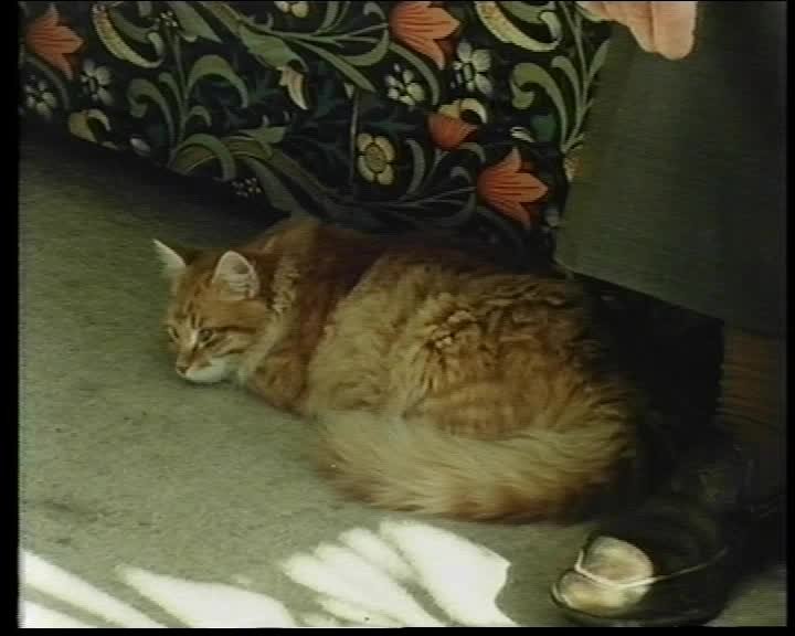 A still image from A.D. Hope