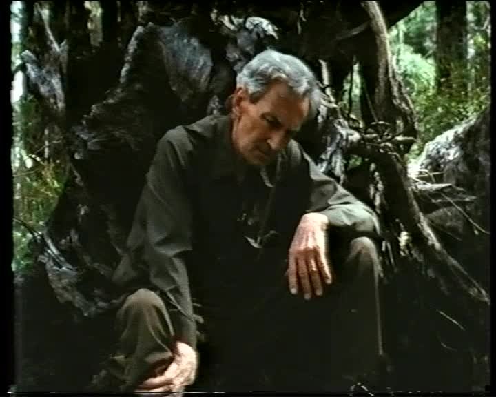 A still image from Howard Taylor