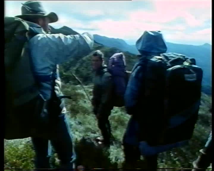 High and wild thumbnail image.