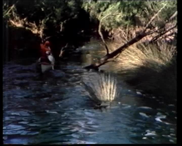 A still image from Gently down the stream