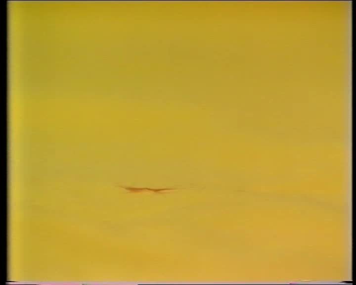 A still image from The Janet Gardiner Case: Forensic Science at Work