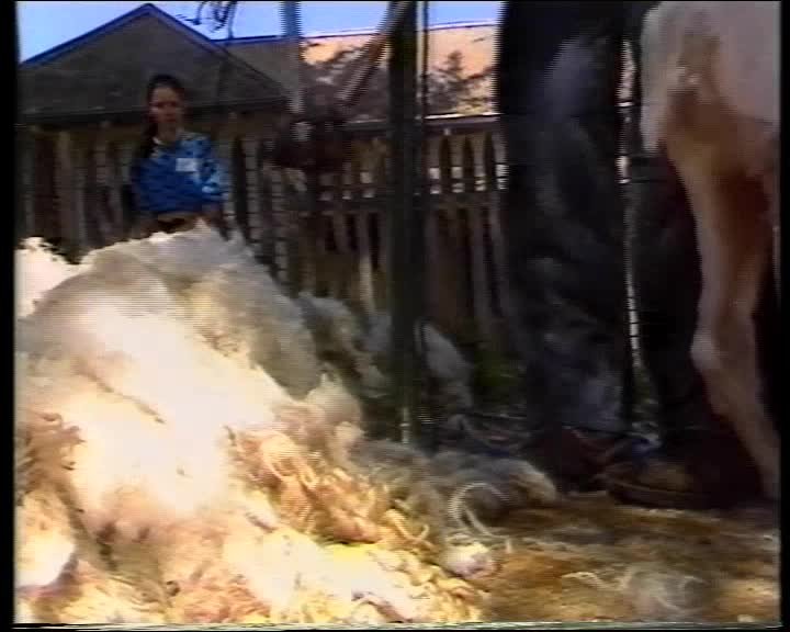 A still image from Join in the Bicentenary