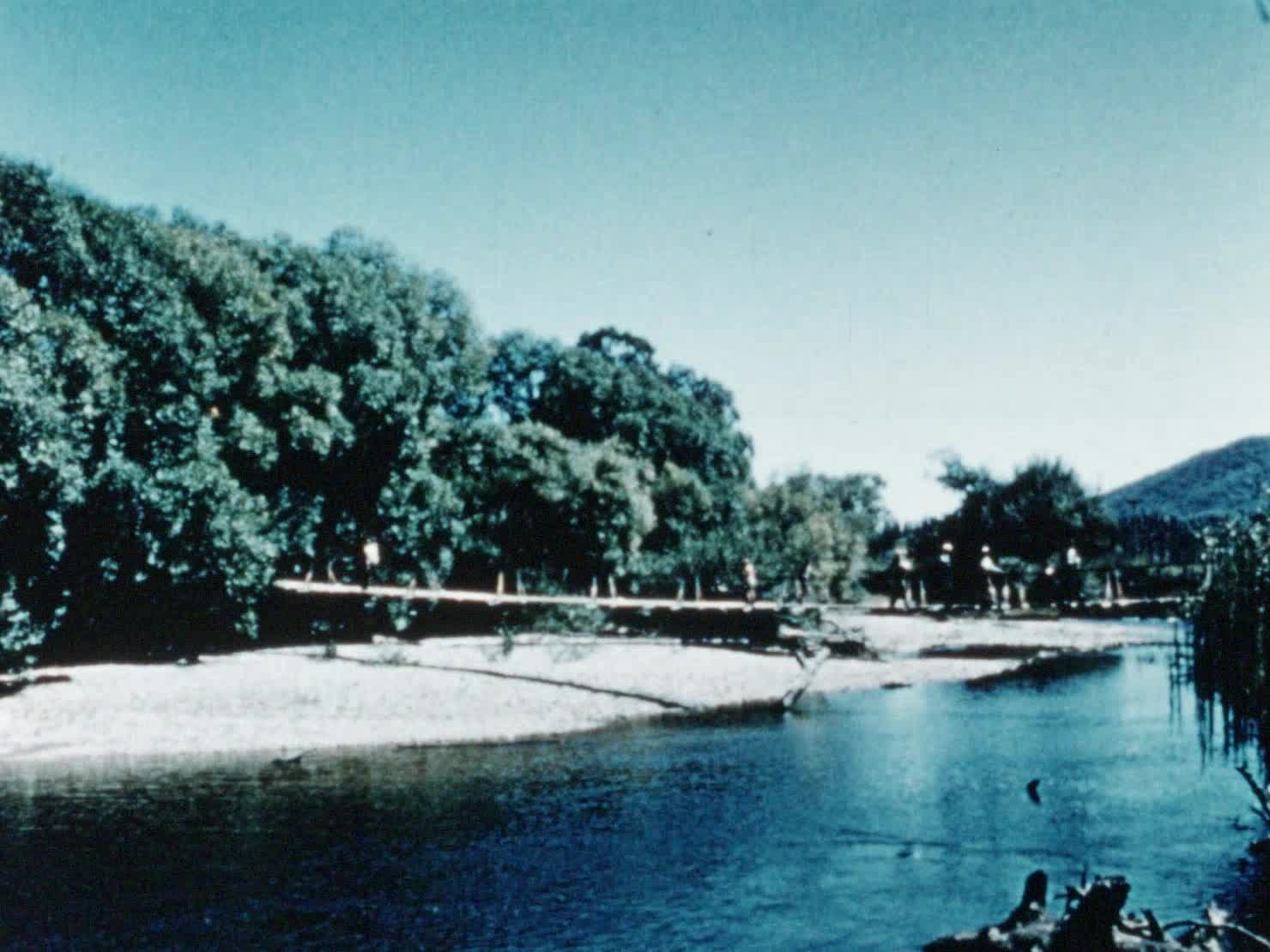 A Working holiday thumbnail image.